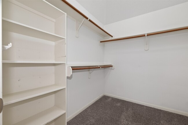 Building Photo - 12912 Kingsbridge Ln