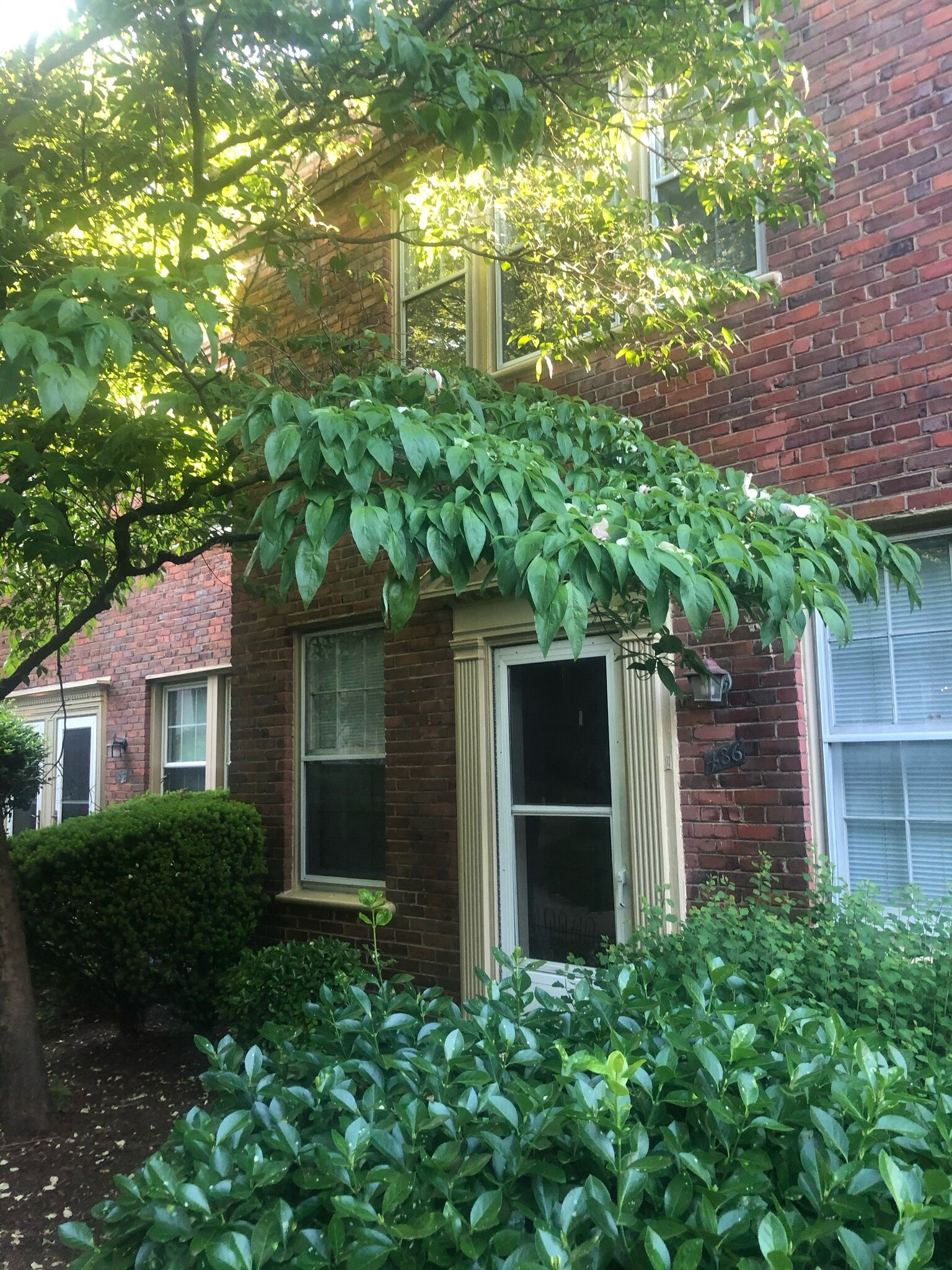 Building Photo - 1401 S Edgewood St