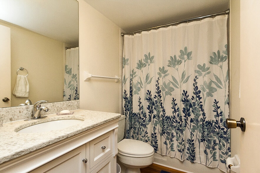 Full Guest Bathroom with Bathtub, Shower and Vanity - 207 5th Ave SW #308