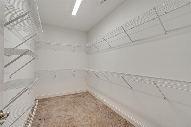 Building Photo - 3 bedroom home in Creekside at Hampton Meadows!