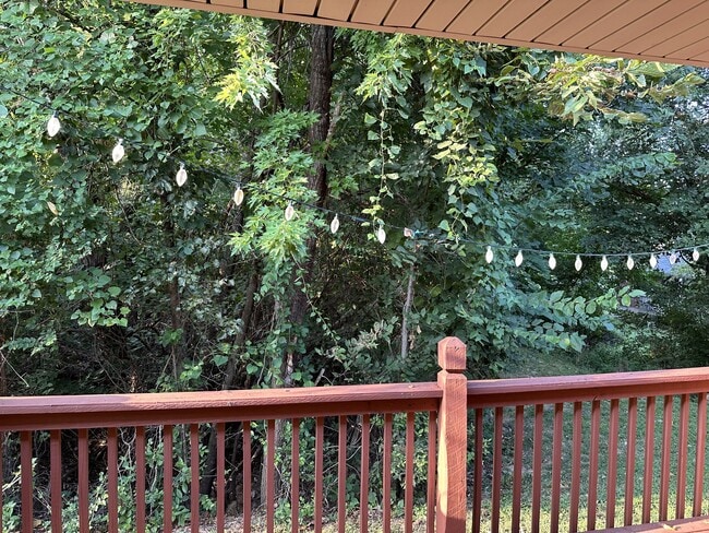 Building Photo - 413 Blake Anthony Dr