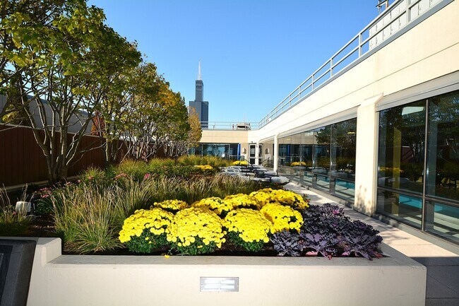 Building Photo - 65 E Monroe St