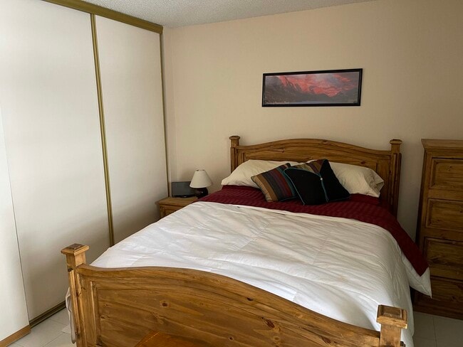 second bedroom full closet - 8185 S Fillmore Cir