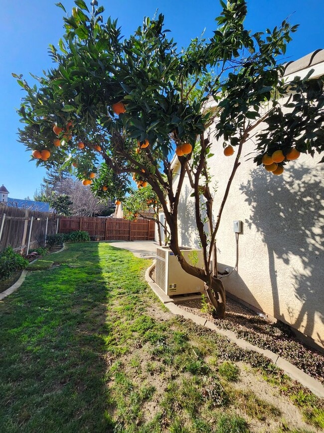 Building Photo - Beautiful Yuba City home located in a cul-de-sac