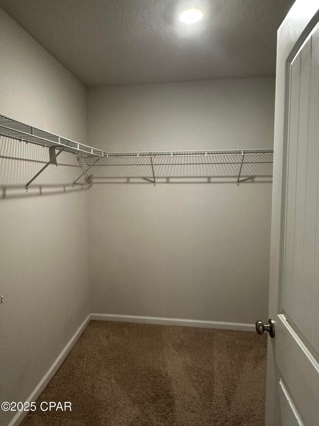 Building Photo - 537 Albert Meadow Ln