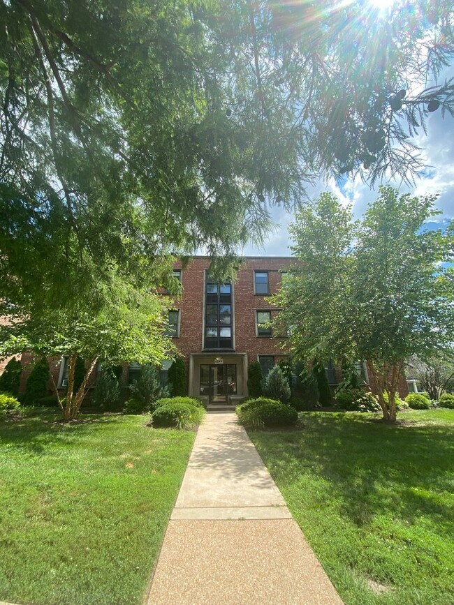 Building Photo - Beautiful Studio Apartment