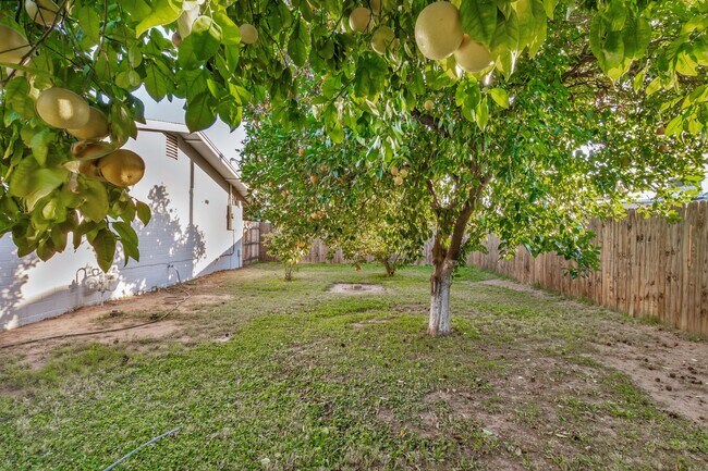 Building Photo - Charming Updated 3 Bed/2 Bath Home in North Central Phoenix