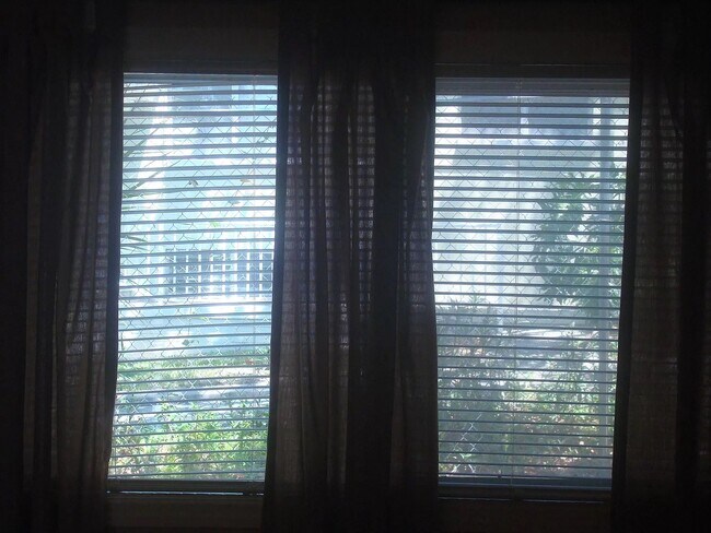 View from Smaller Bedroom - 415 N Halifax Ave