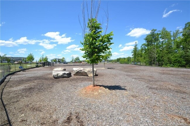 Building Photo - 2332 Chert Ln
