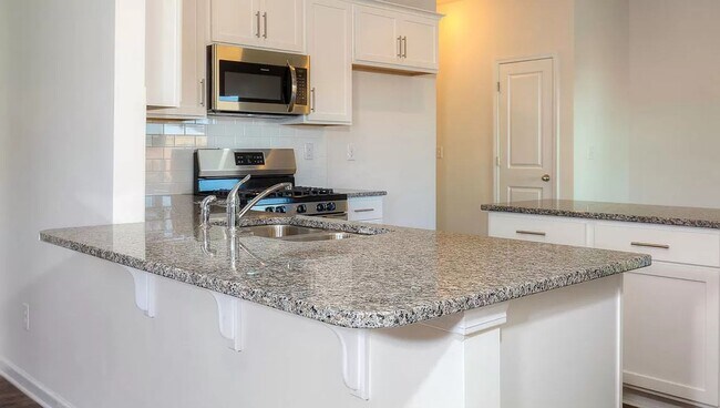 Building Photo - Spacious Newer Construction In Candler