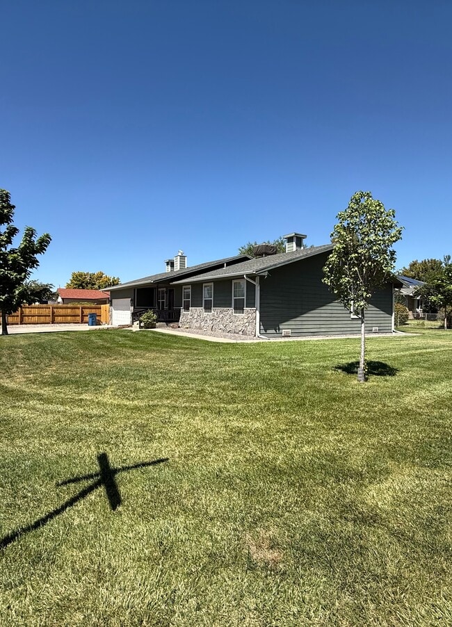 Primary Photo - Green House