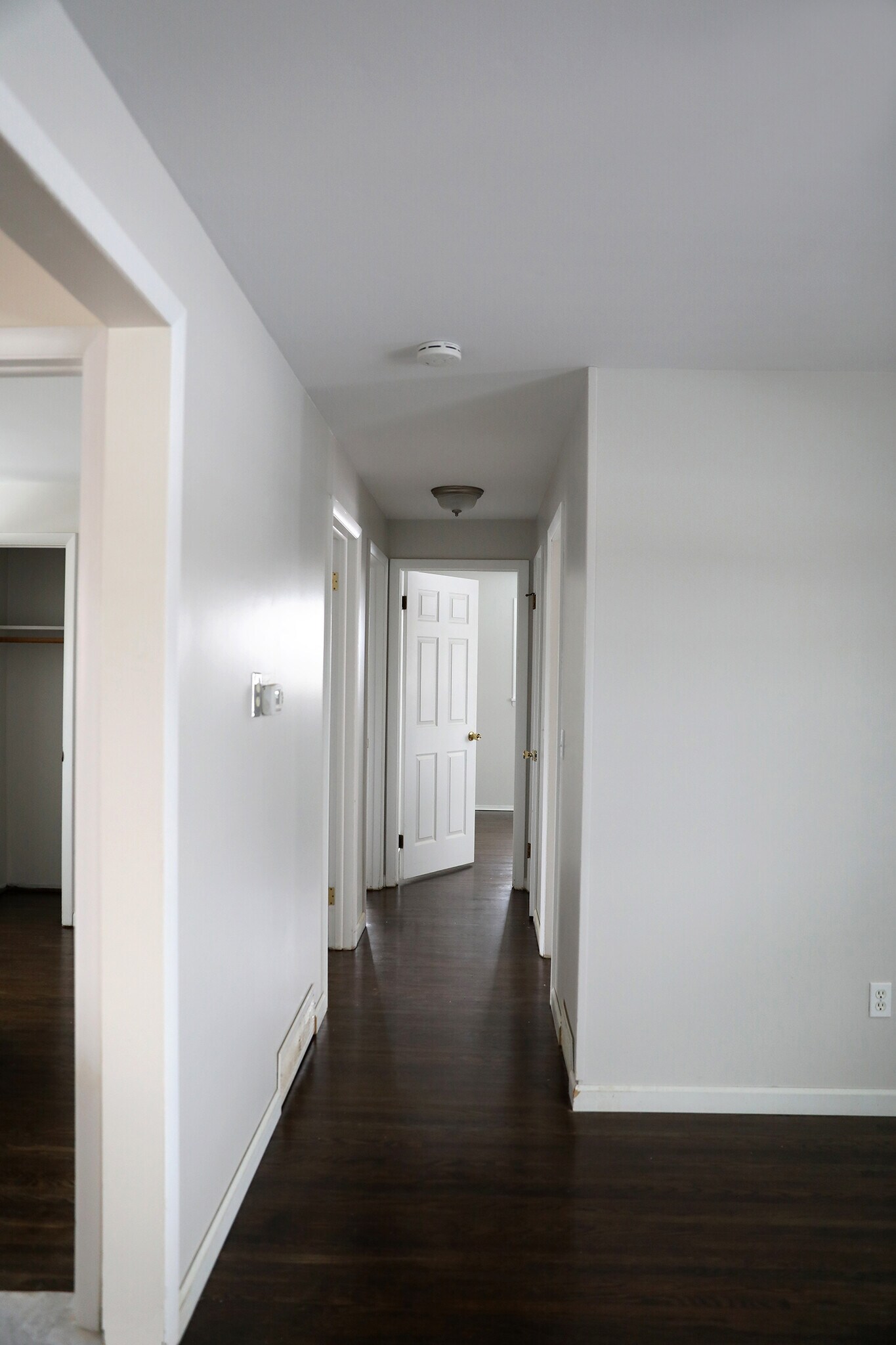 Hallway - 16 Beckwith Road