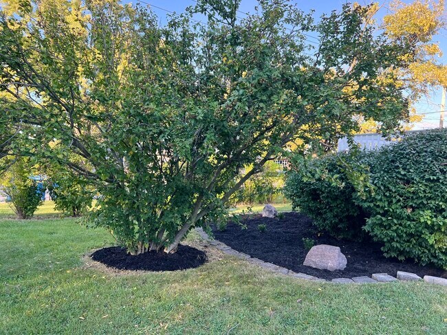 Building Photo - 3002 Green St