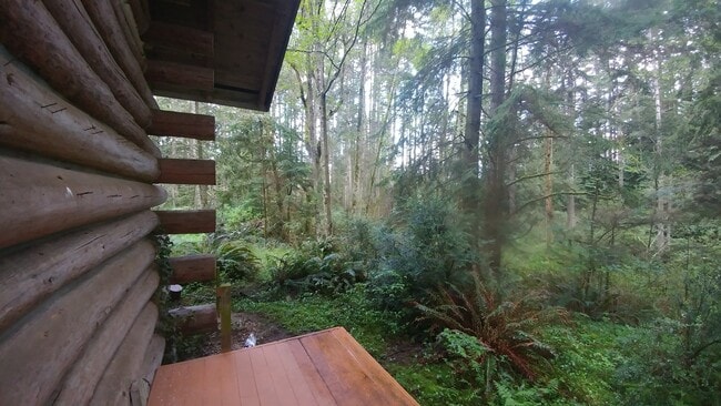 Building Photo - Rustic Log Home In the Woods!