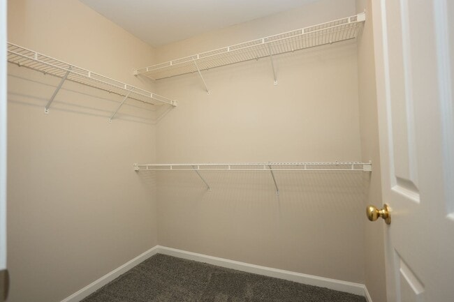 Building Photo - 8065 Stoneham Ct