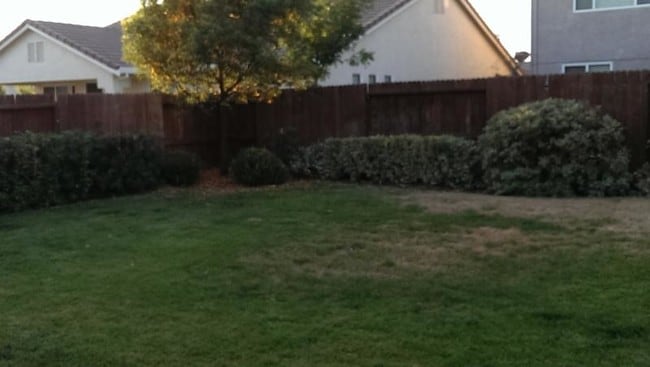 Building Photo - 1539 Figueroa Dr