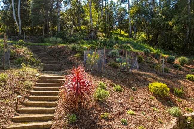 Building Photo - Beautifully Remodeled 4BR + Office Mill Valley Home — Furnished, Private 3/4-Acre Setting, Walk t...