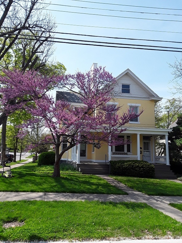 Fully furnished, 1-2 BR, pvt ent, gar. - 3003 Junietta Ave