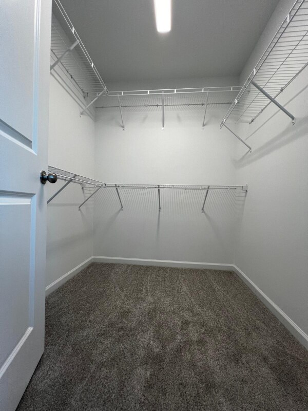 Building Photo - 176 Kobus Ct