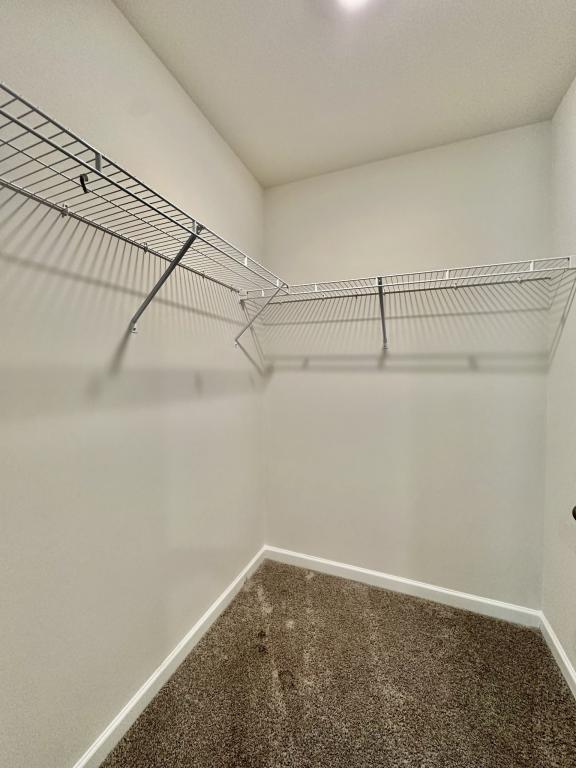 Building Photo - 1339 Mifflin Ln