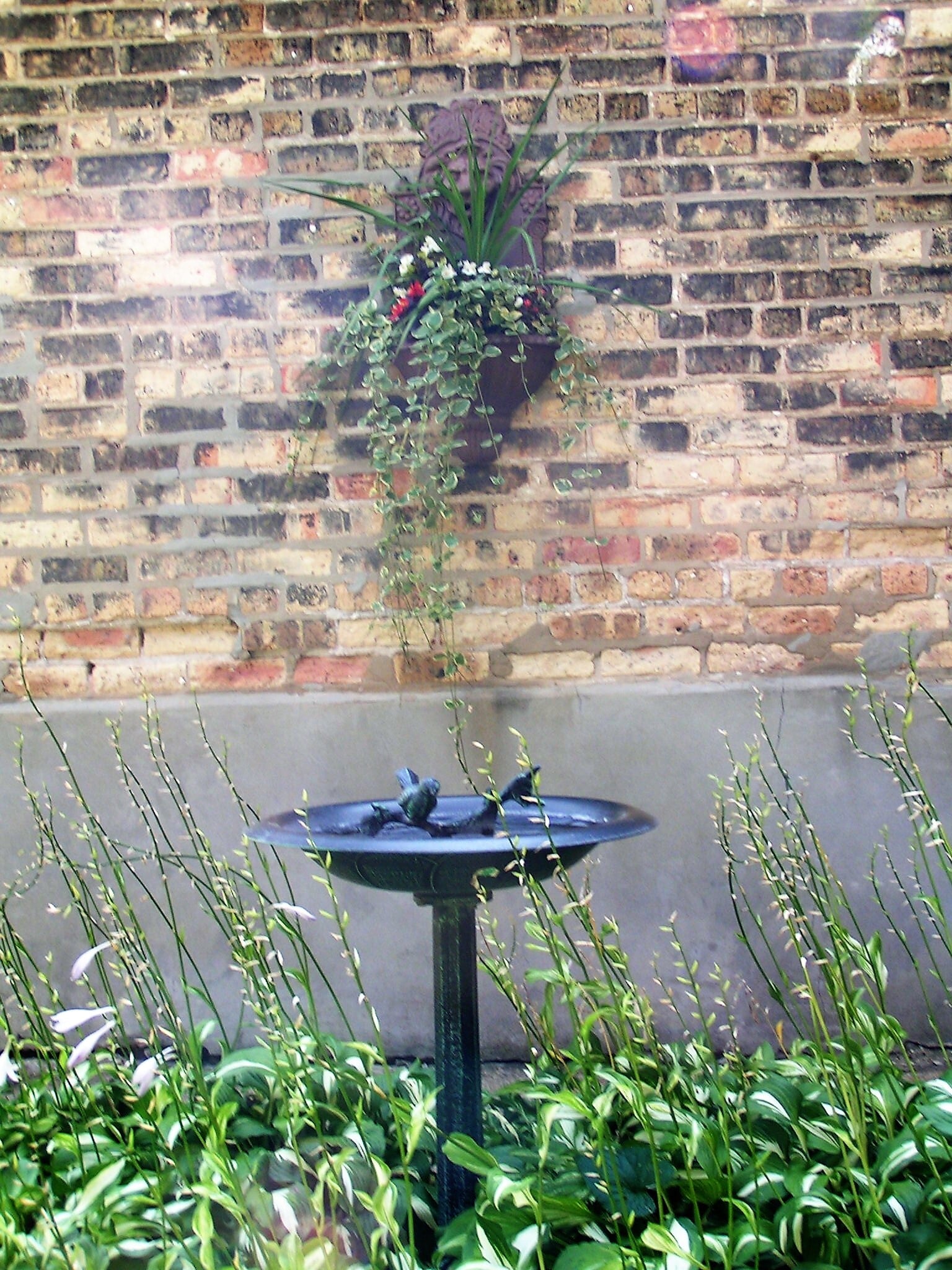 Birdbath - 5801 N Rockwell St