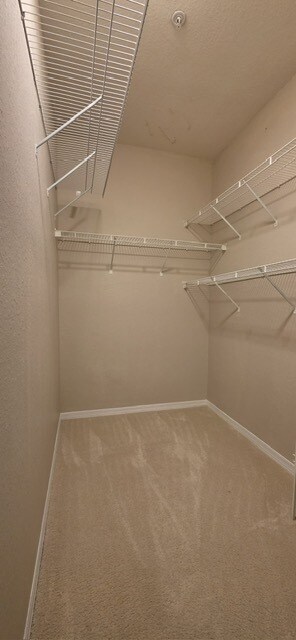 Building Photo - 2615 Maitland Crossing Way