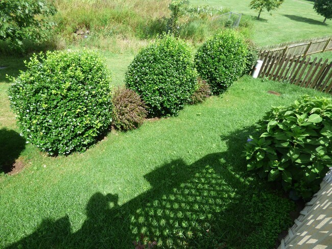 Building Photo - Beautiful 3 BR, 2 Bath Home, All Electric, Vaulted Ceilings, Walk-In Closets, Garage