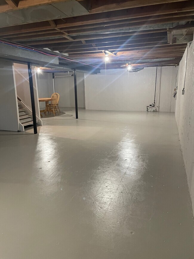 Basement - 8120 Appoline St