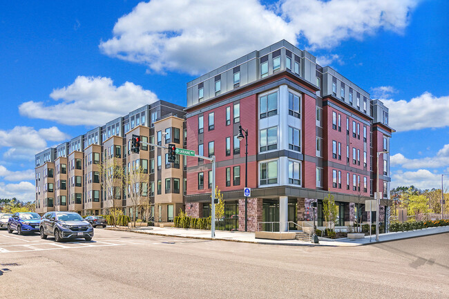 Primary Photo - A.O. Flats at Forest Hills