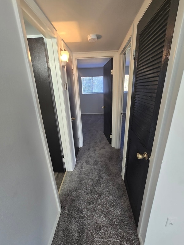 Building Photo - 1221 Nelson St