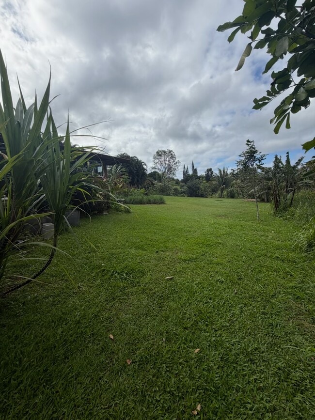 Building Photo - 20 Leahi Pl