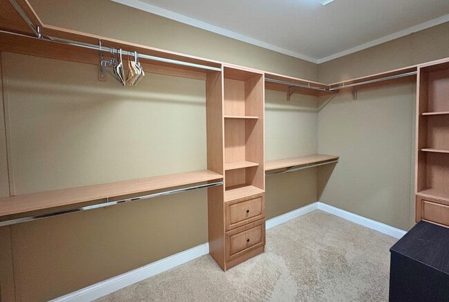 Building Photo - Beautiful 3-Bedroom Home in Seminole, FL!