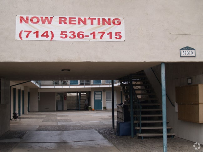 Now Renting - 309 Memphis Ave