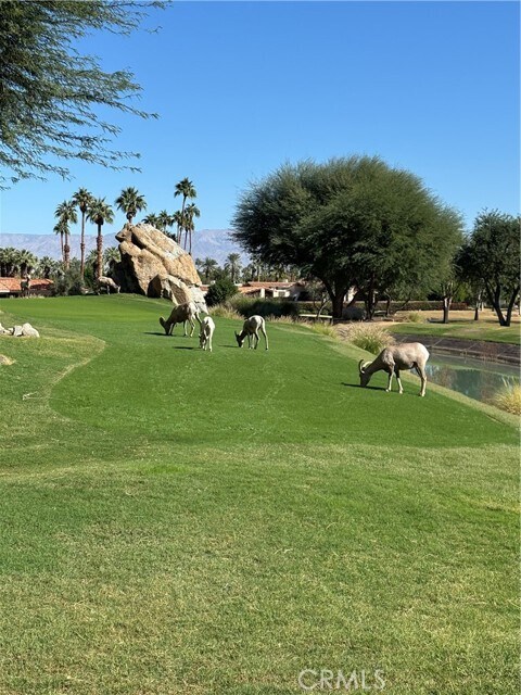 Building Photo - 57205 Merion