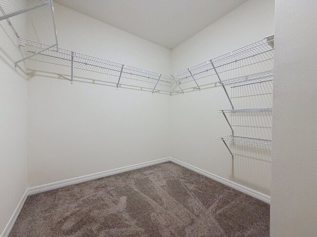 Building Photo - 13559 Southern Magnolia Dr