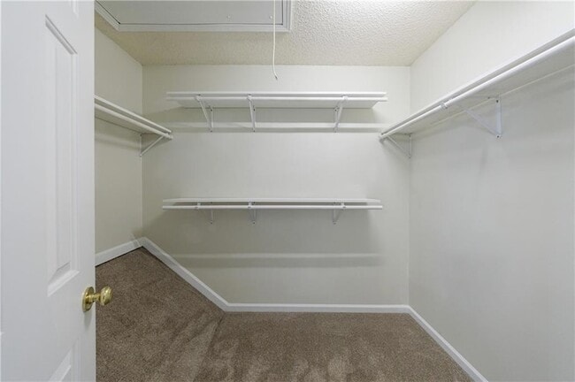 Building Photo - 2819 Ashleigh Ln