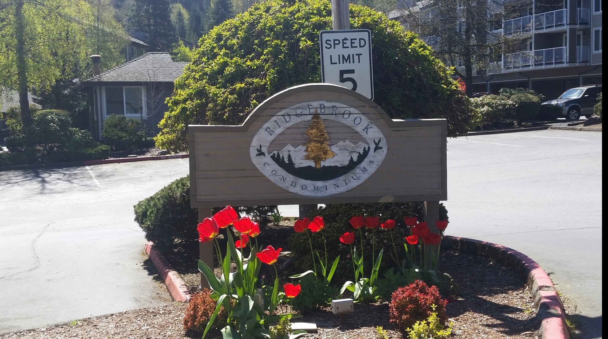 Building Photo - 204 Mountain Park Blvd SW