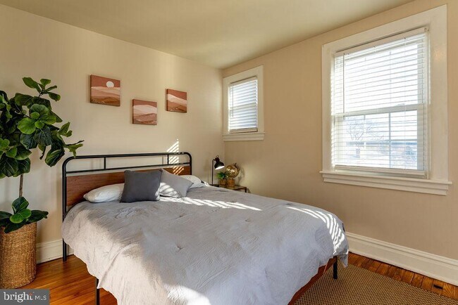 Building Photo - 313 Frederick St