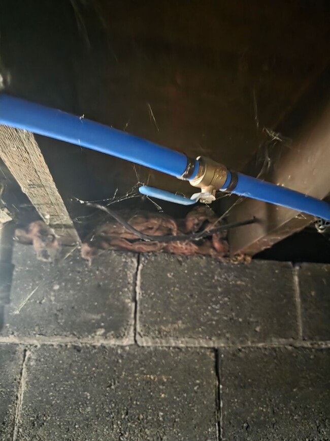 Building Photo - Recently Remodeled 2-Bedroom, 2-Bathroom Home – $1,100/Month - Accepting Section 8