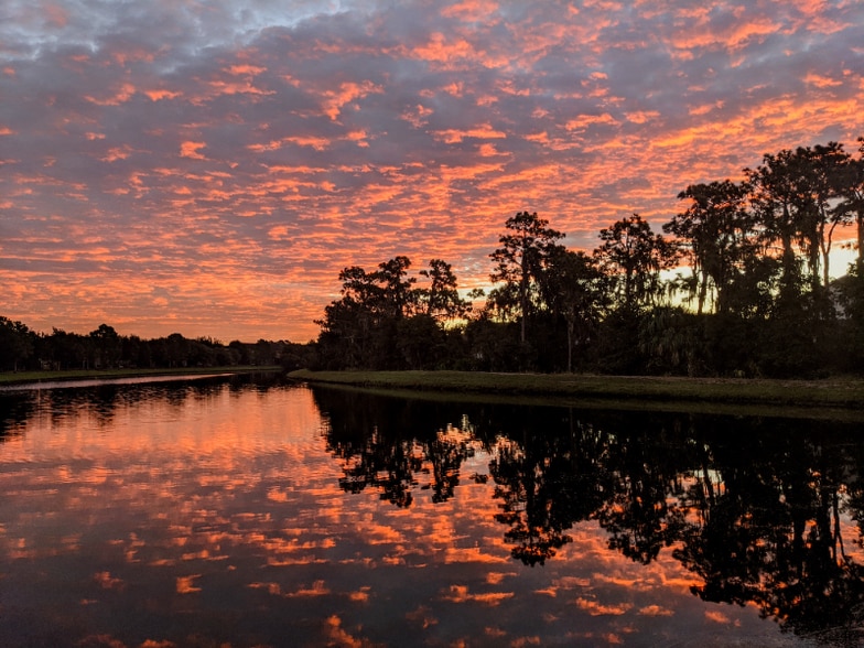 Building Photo - 6828 Holly Heath Dr
