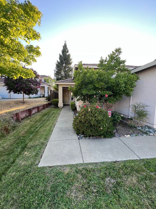 Building Photo - 3 Bedroom - Heart of Roseville