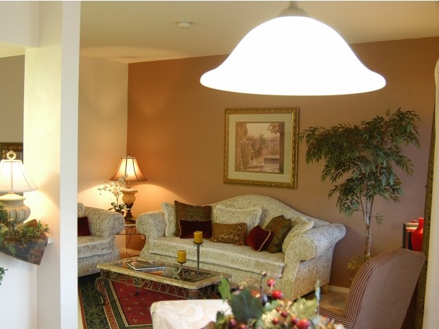 Primary Photo - Signature Pointe of Bay Hill Springs