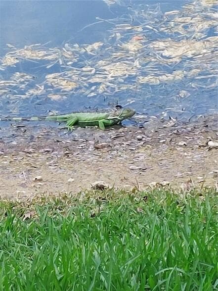 Building Photo - 2566 SW 82nd Ave