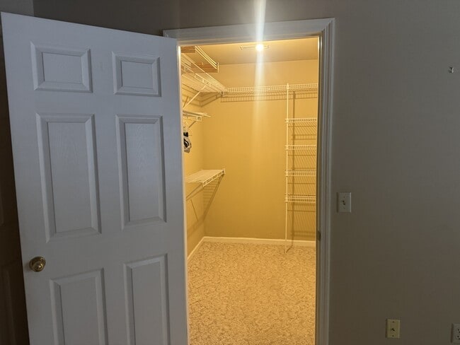 Building Photo - 916 Palomino Ln