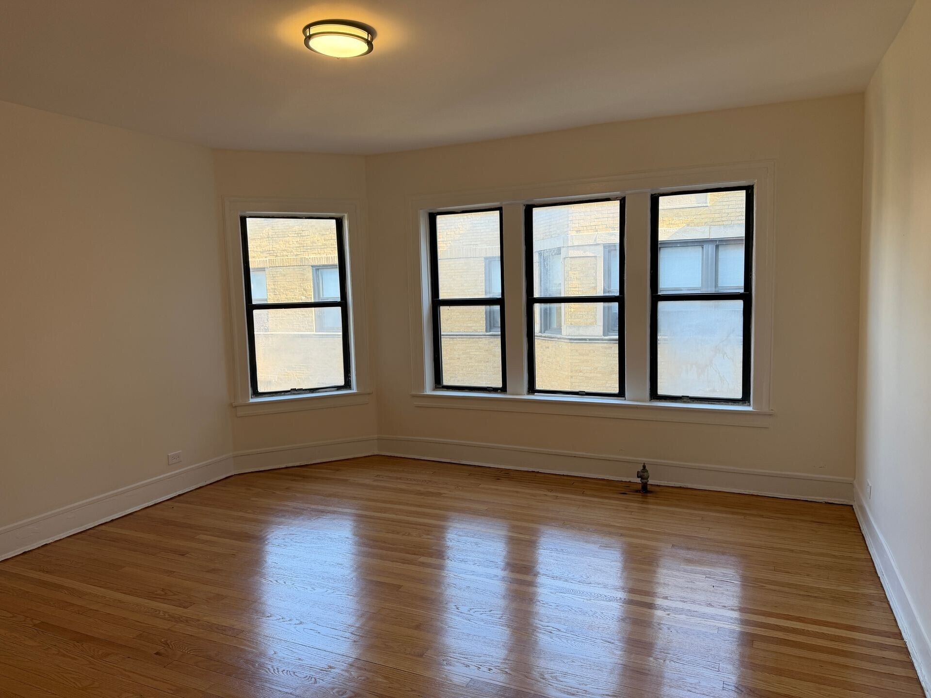 Building Photo - 7351 N Damen Ave