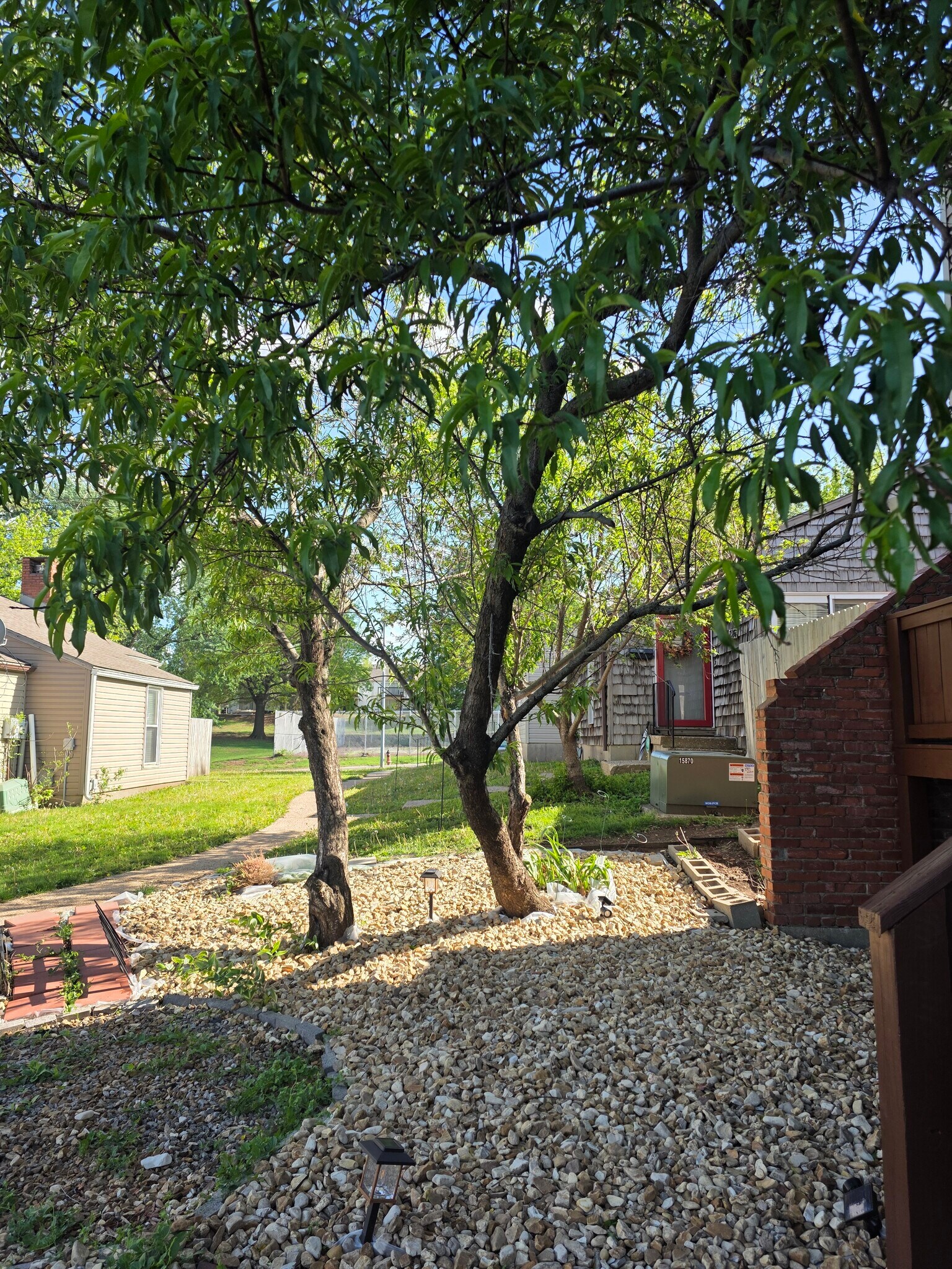 Building Photo - 11260 College Ave