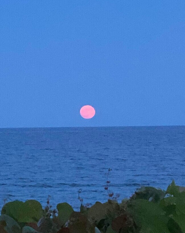 Moonrise on the Ocean - 6520 N Ocean Blvd