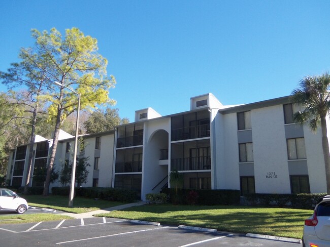 Primary Photo - Pine Ridge at Lake Tarpon