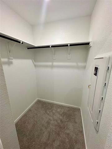 Building Photo - 12117 Steeplechase Dr