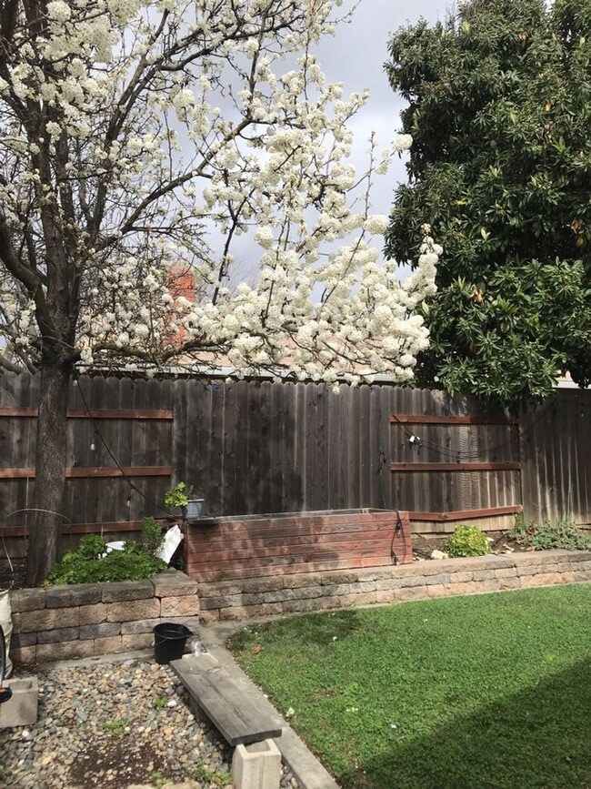 Building Photo - Fantastic East Davis 3 bedroom available f...